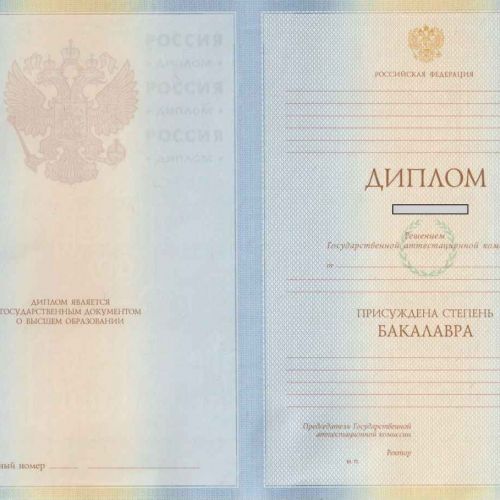 Диплом бакалавра 2009-2010